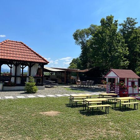 Casa Cu Flori Maramures Nagybánya Kültér fotó