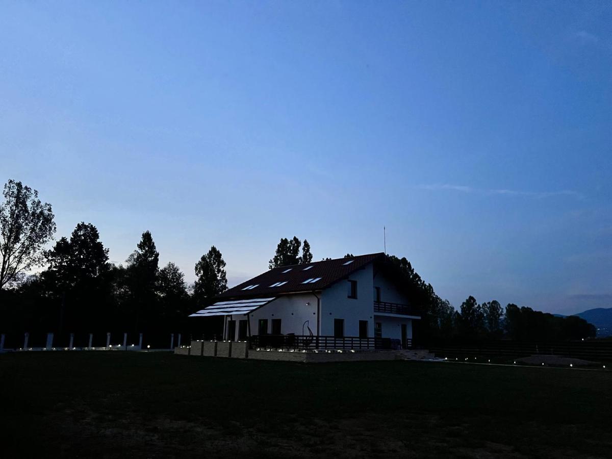 Casa Cu Flori Maramures Nagybánya Kültér fotó