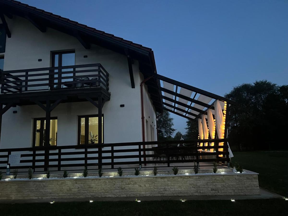 Casa Cu Flori Maramures Nagybánya Kültér fotó