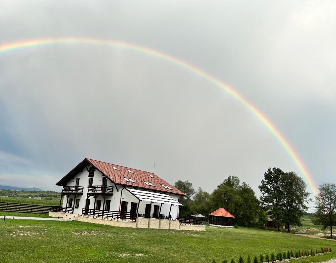 Casa Cu Flori Maramures Nagybánya Kültér fotó