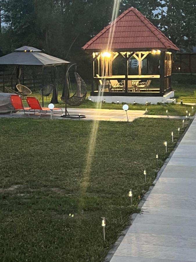 Casa Cu Flori Maramures Nagybánya Kültér fotó