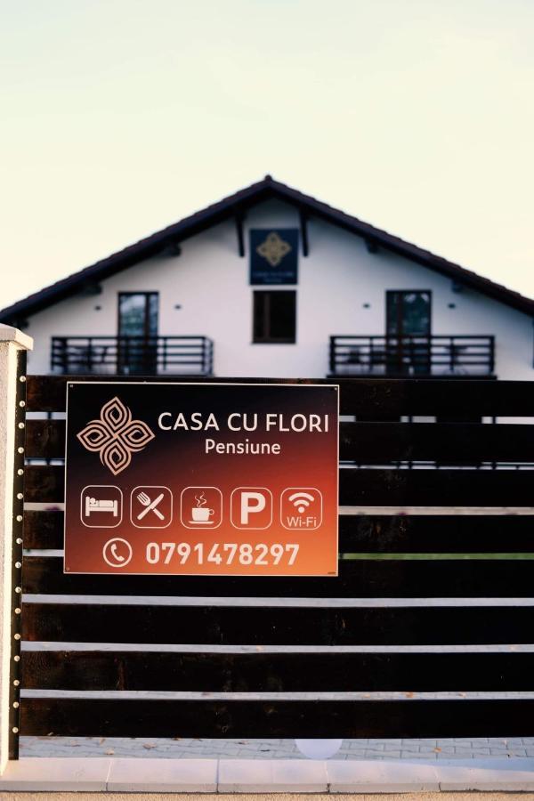 Casa Cu Flori Maramures Nagybánya Kültér fotó