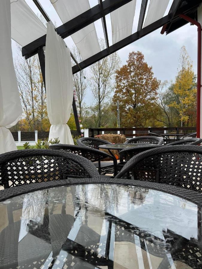 Casa Cu Flori Maramures Nagybánya Kültér fotó