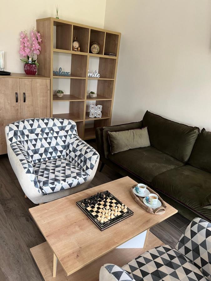 Casa Cu Flori Maramures Nagybánya Kültér fotó