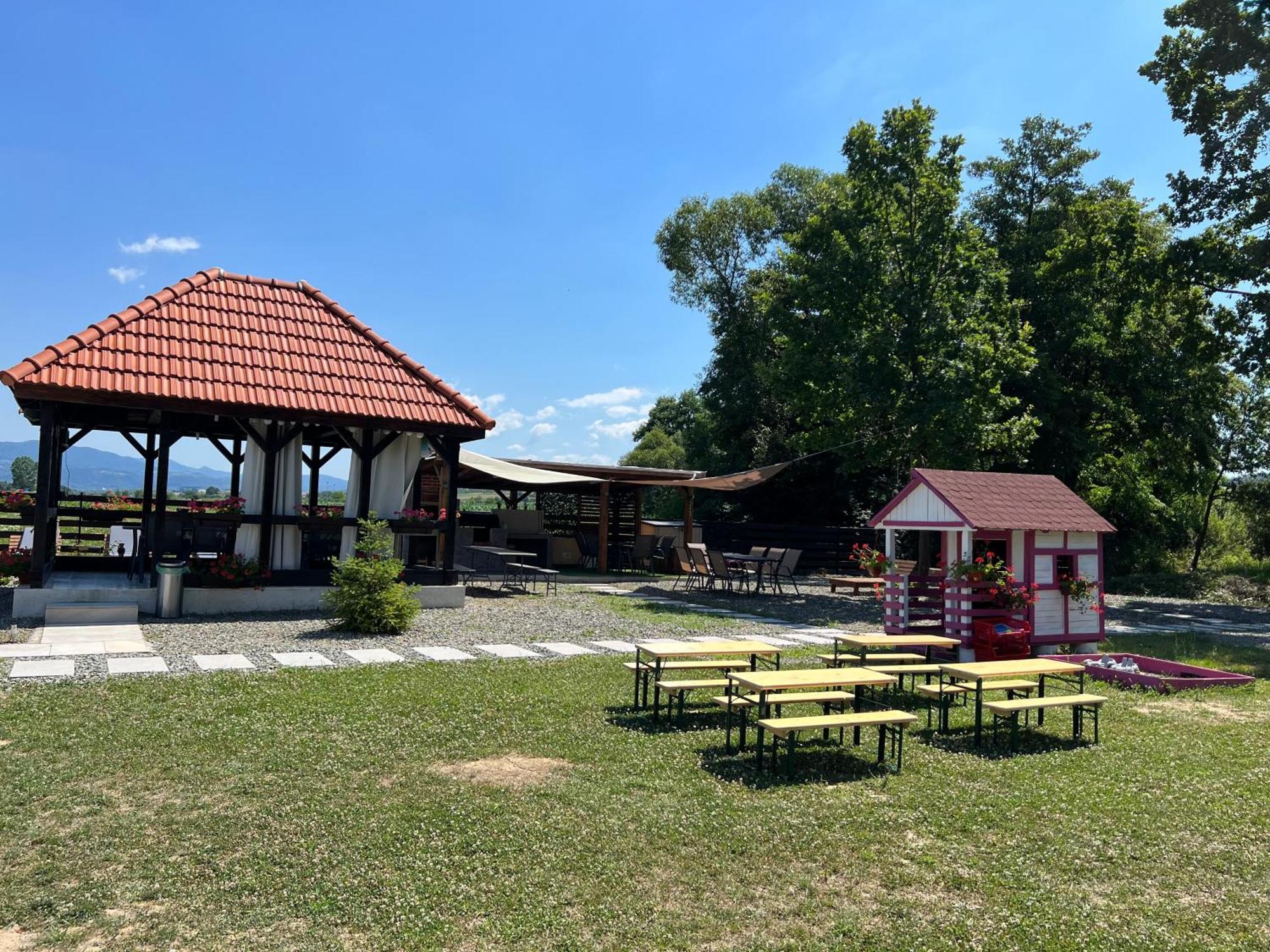 Casa Cu Flori Maramures Nagybánya Kültér fotó
