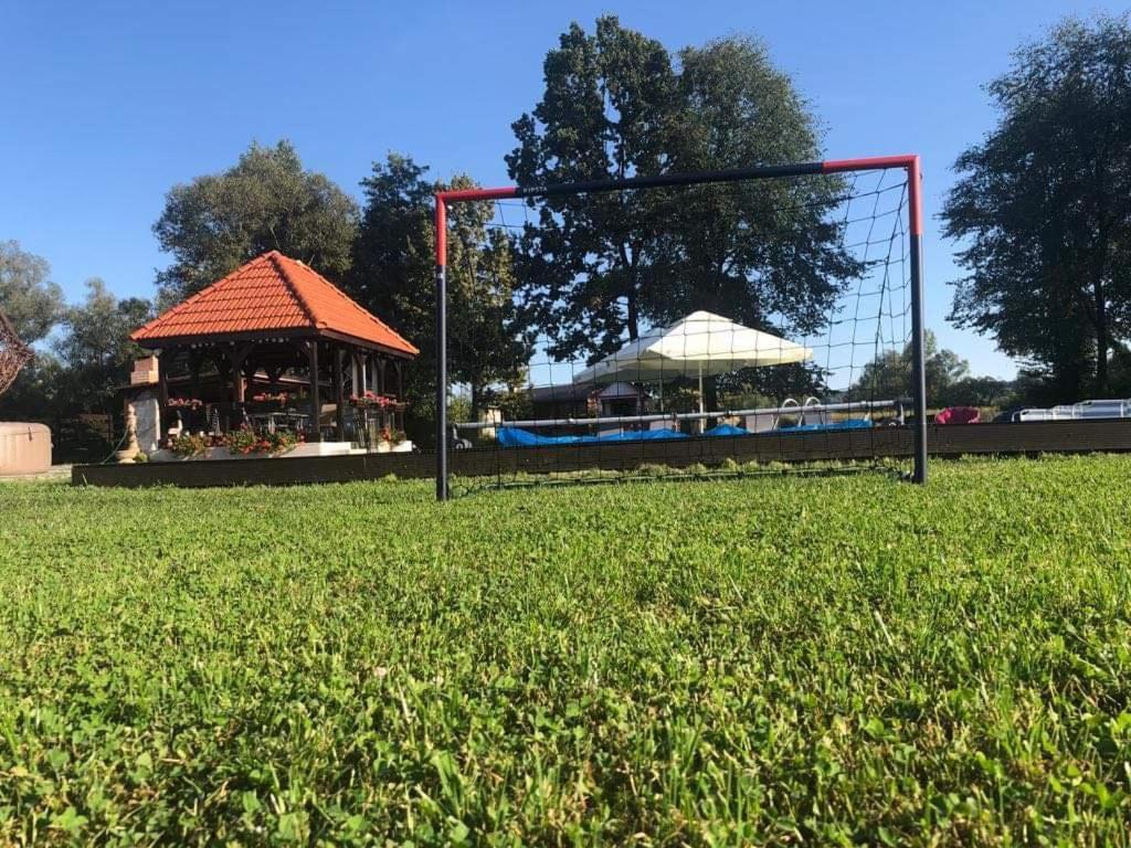 Casa Cu Flori Maramures Nagybánya Kültér fotó