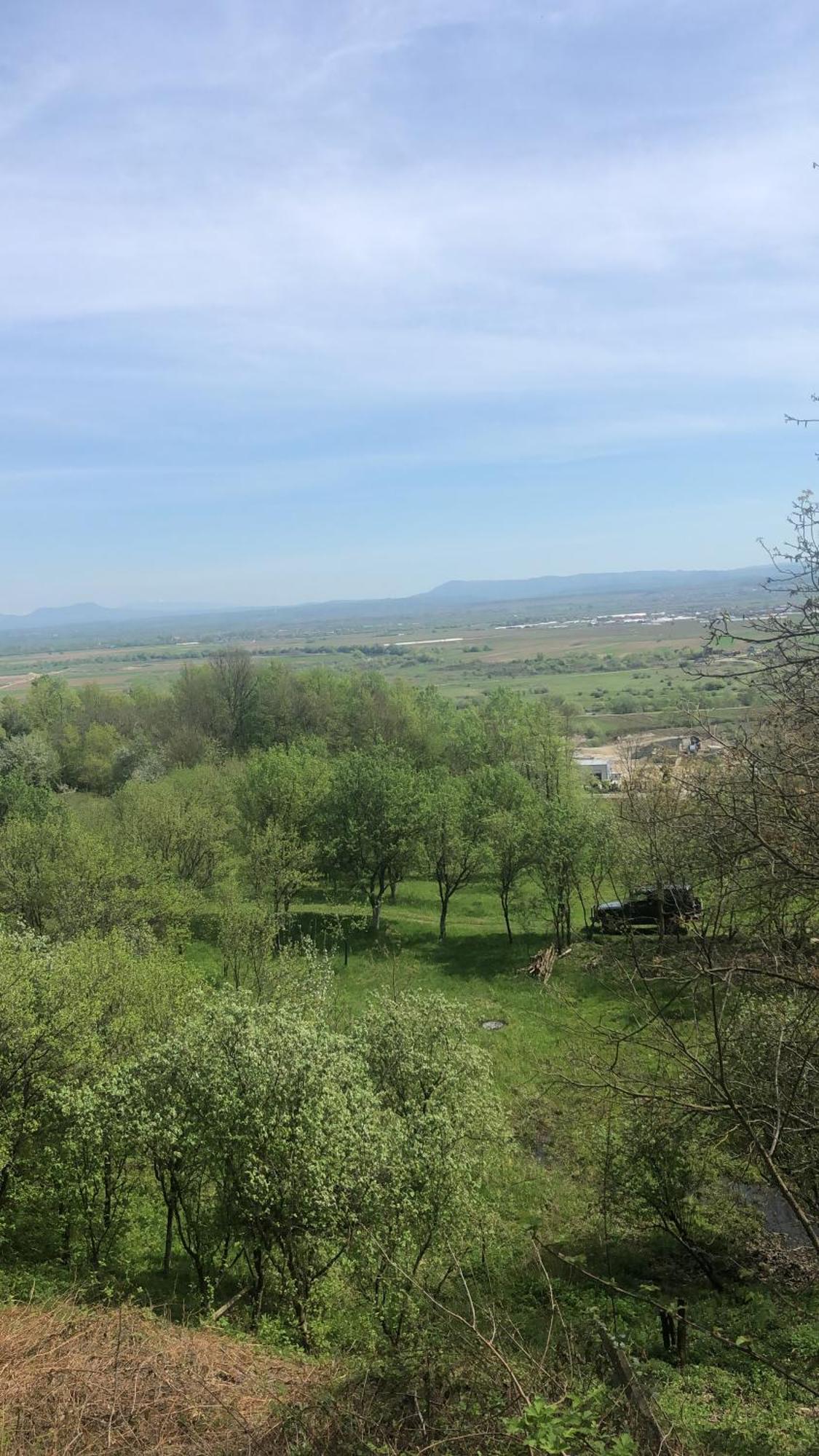 Casa Cu Flori Maramures Nagybánya Kültér fotó